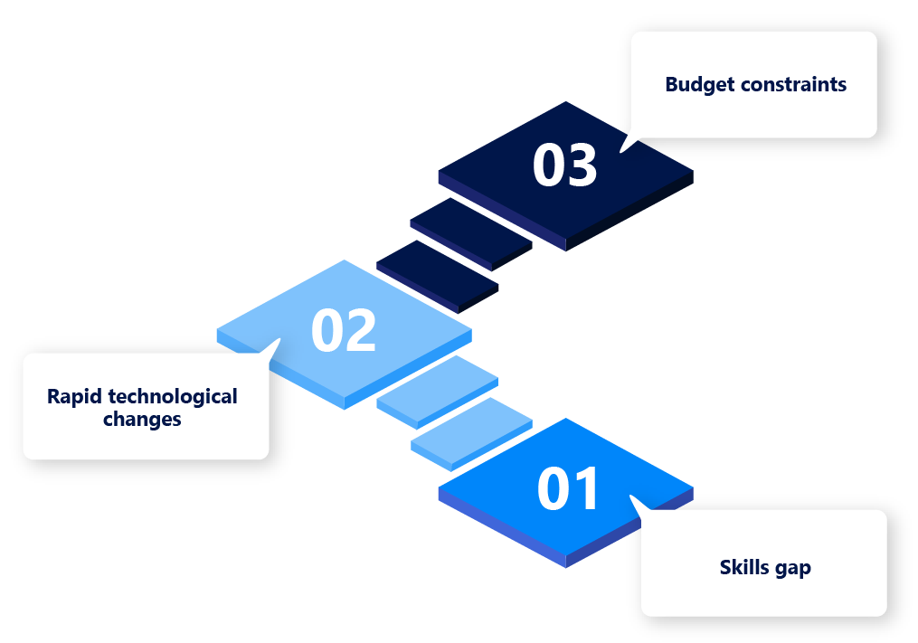 Challenges in Developing Technical Capabilities